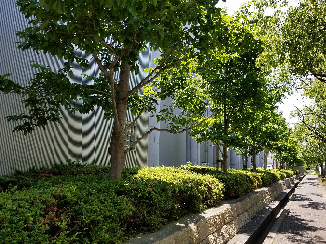 工場の緑地