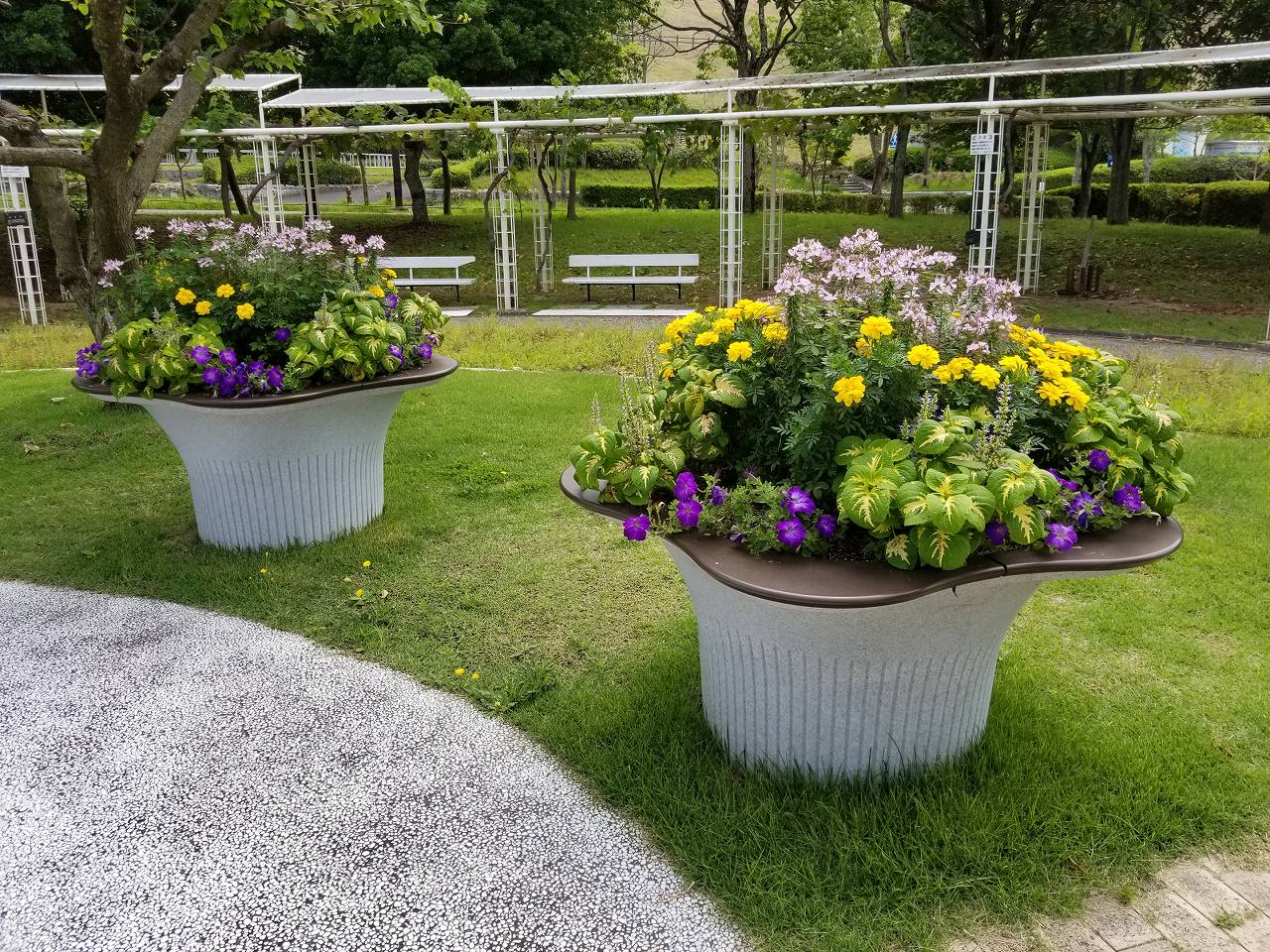 しあわせの村