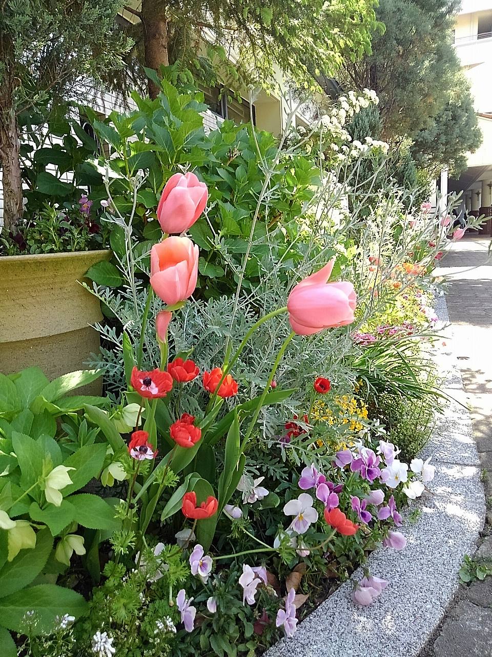 しあわせの村
