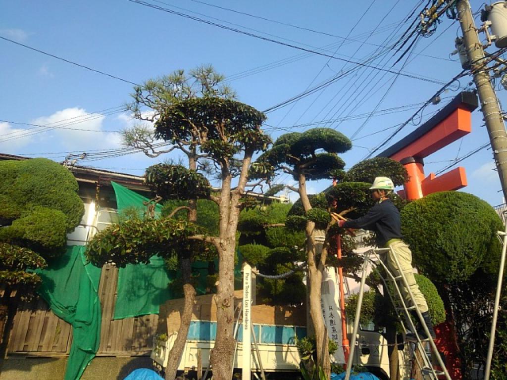 松尾稲荷神社