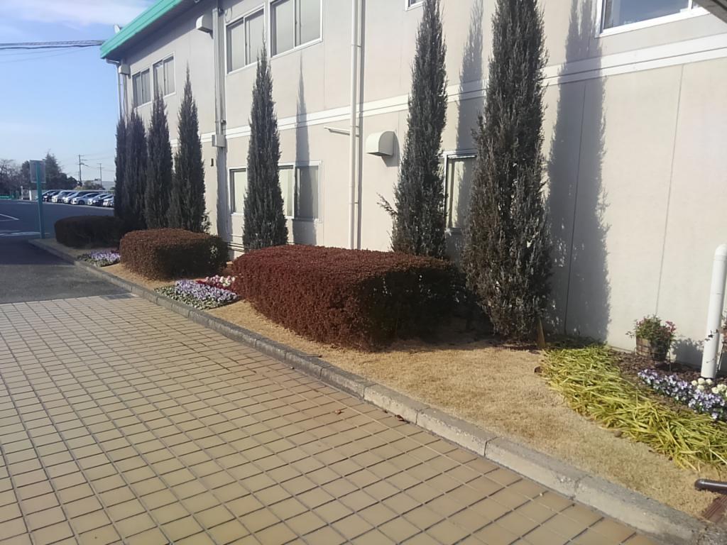工場の緑地