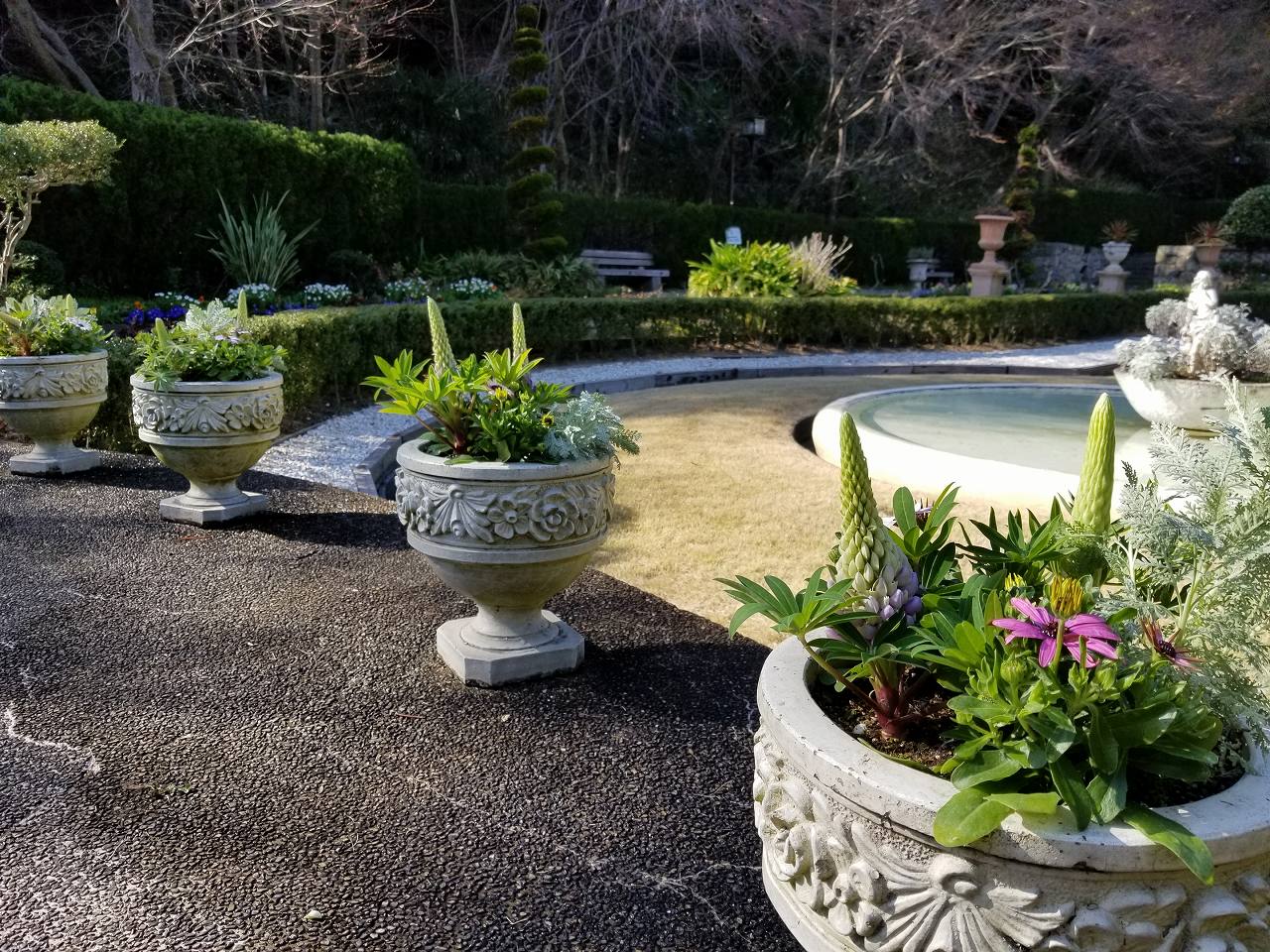 須磨離宮公園花の庭園