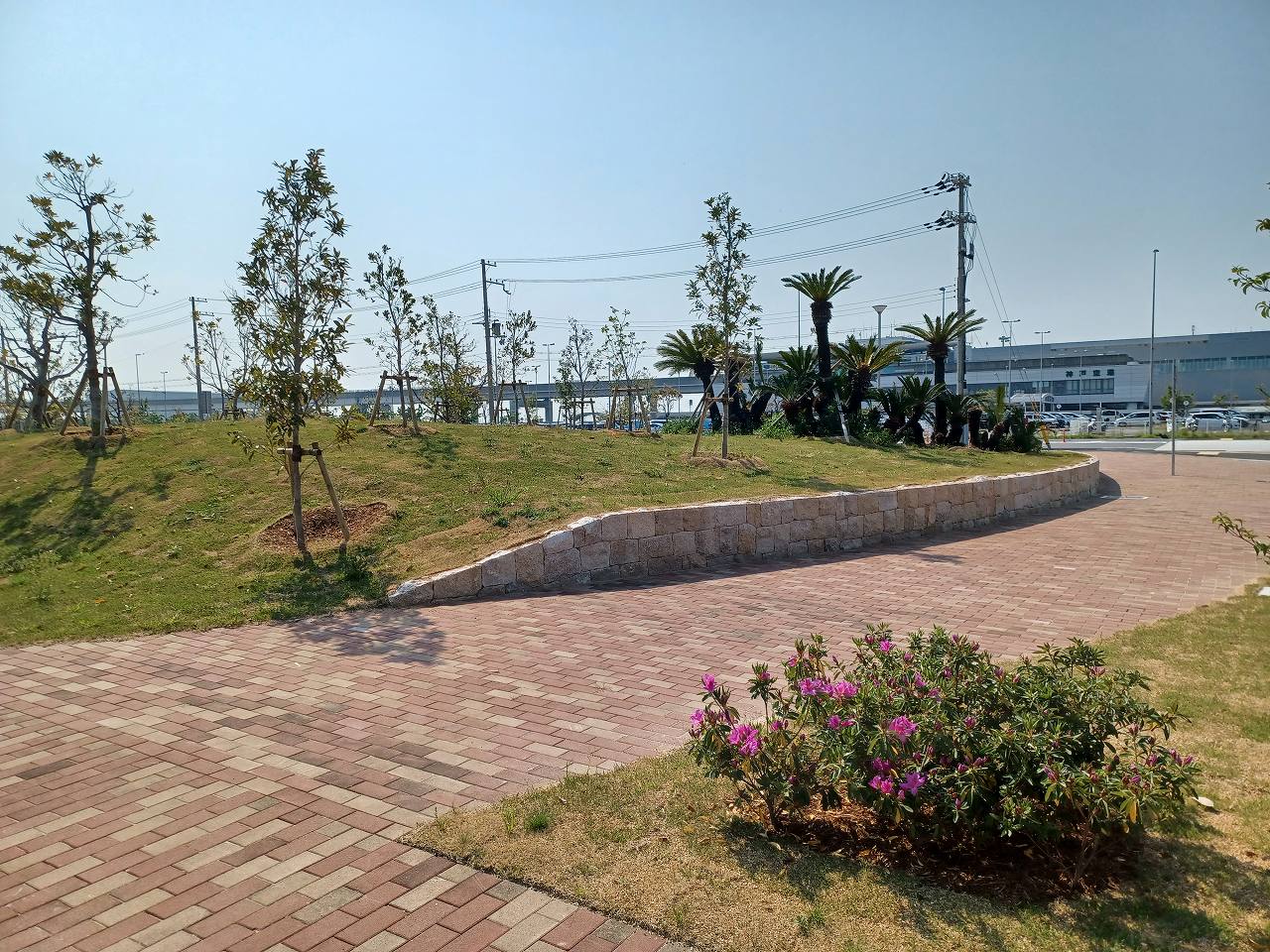 神戸空港島中央緑地
