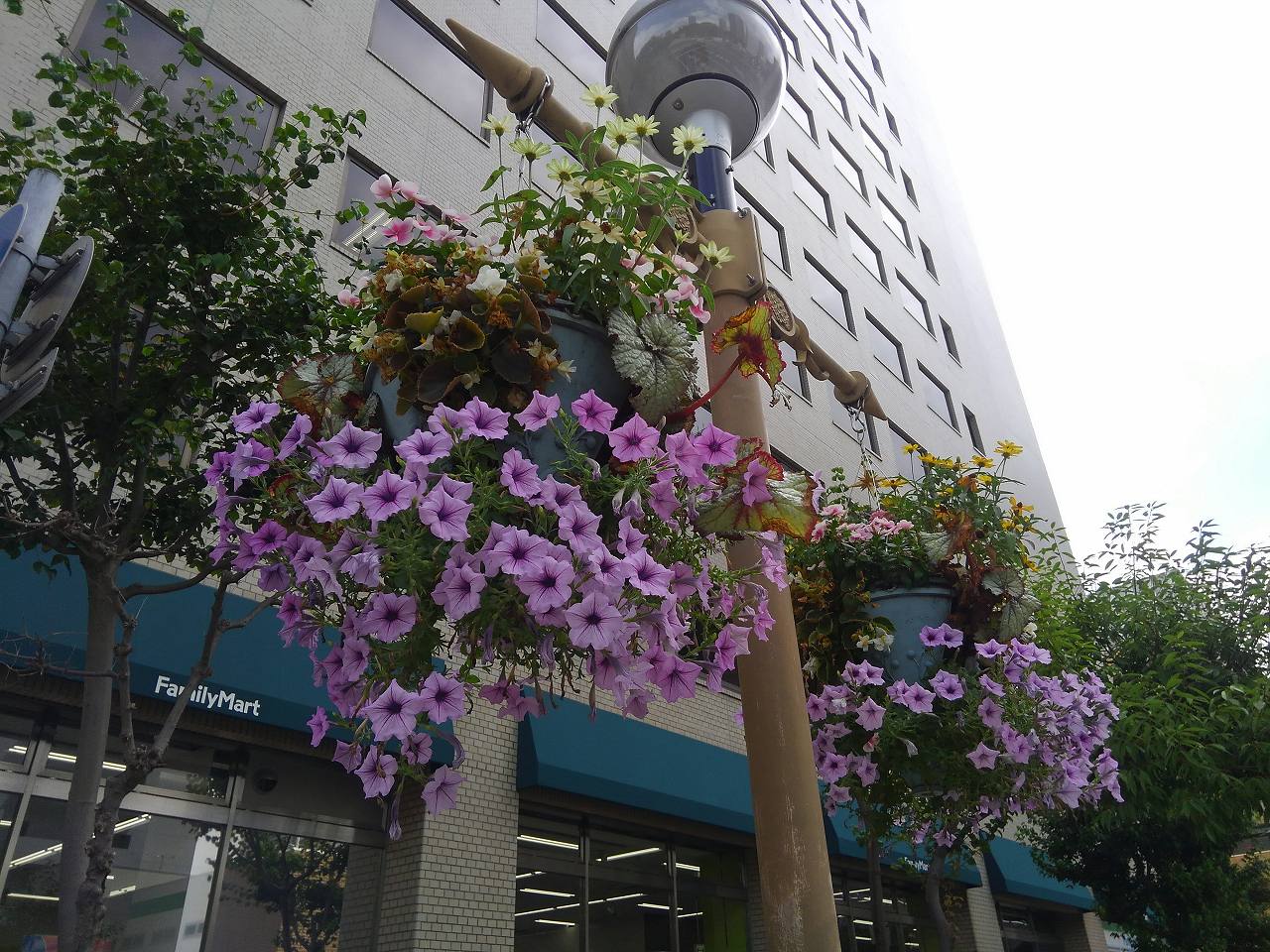 旧居留地エリア花壇管理業務