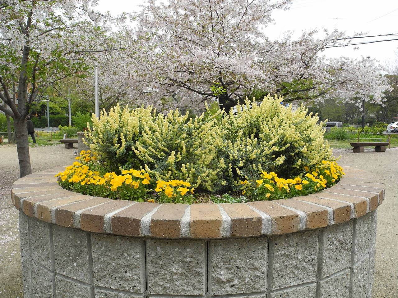 住吉公園レイズドベッド