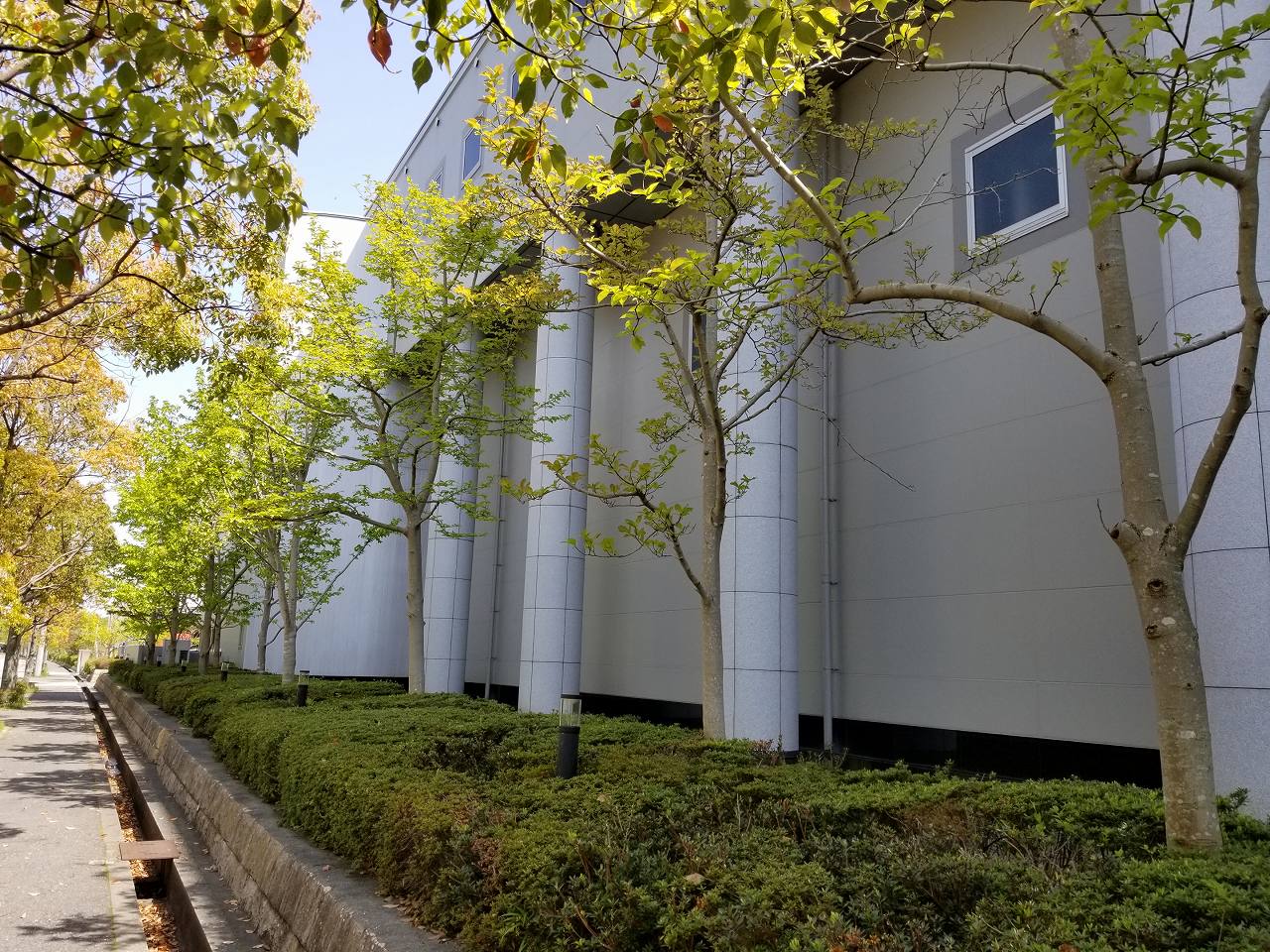 企業の緑地