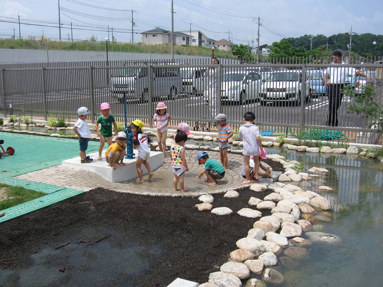 保育園のビオトープ