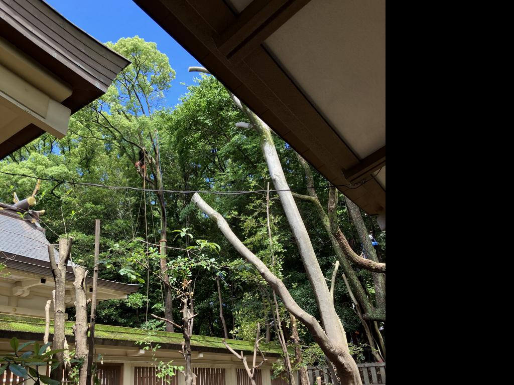 湊川神社