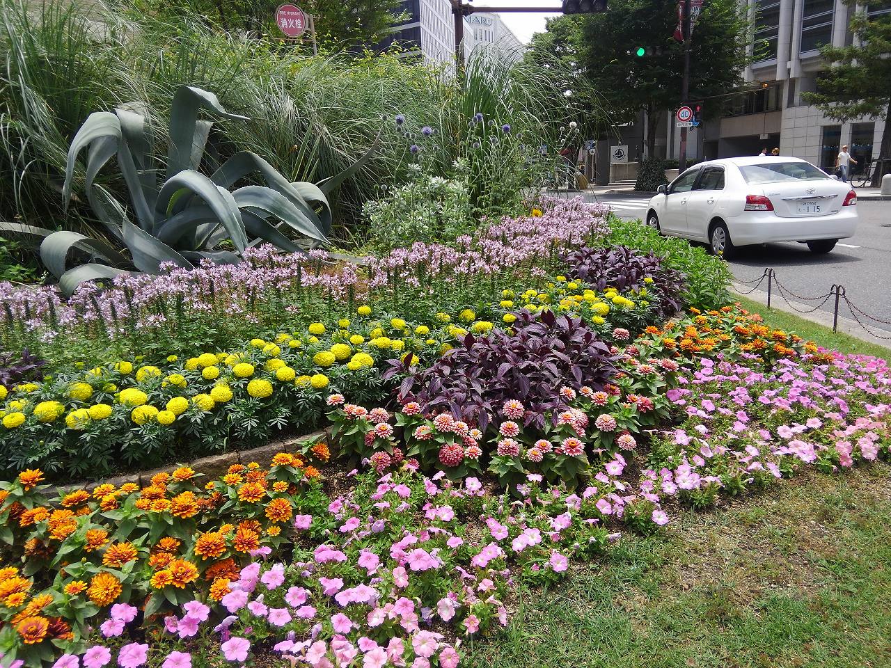 旧居留地エリア花壇管理業務
