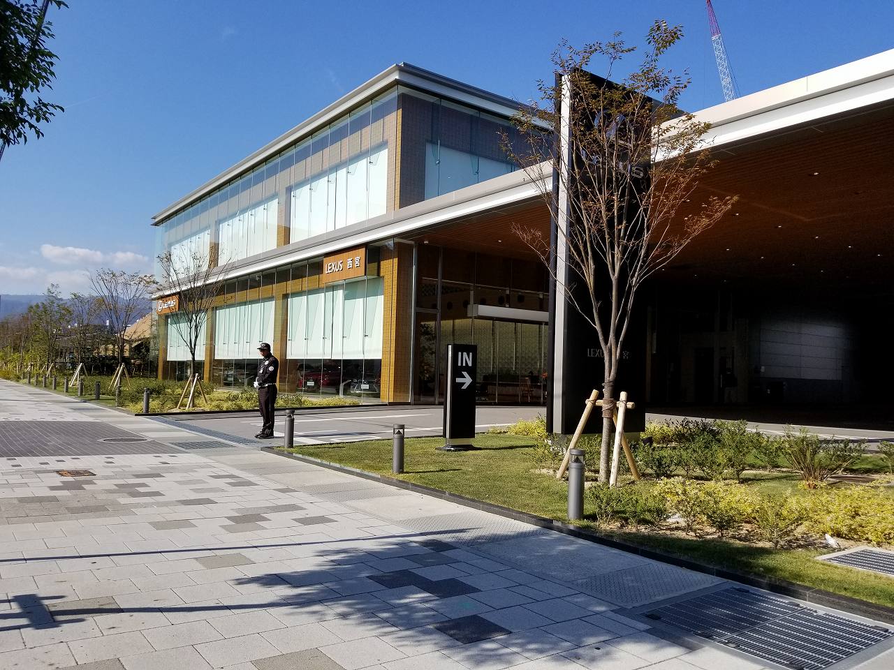 カーディーラーの緑地