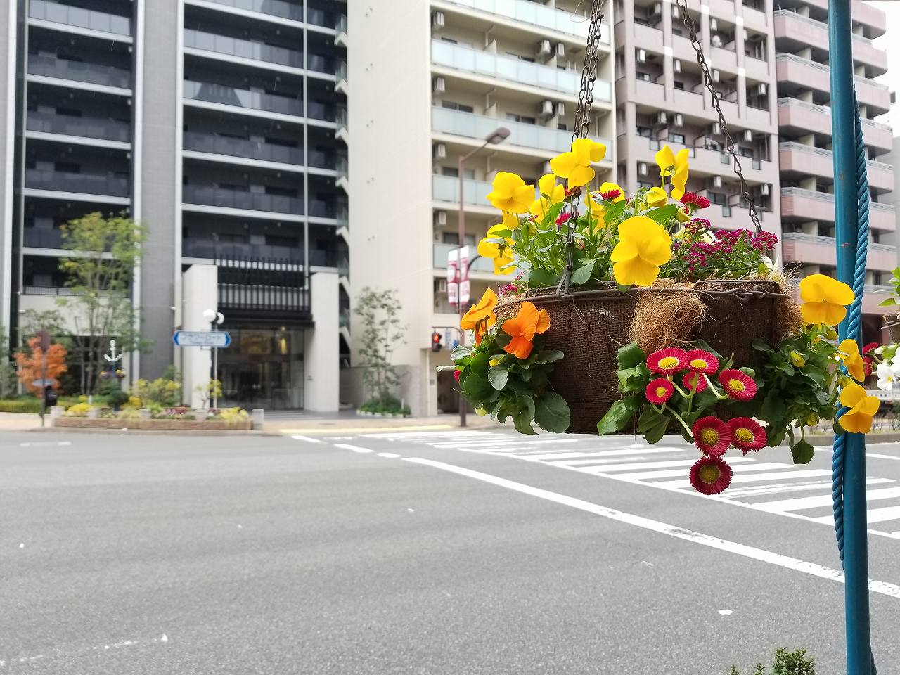 三宮北エリア花壇管理業務