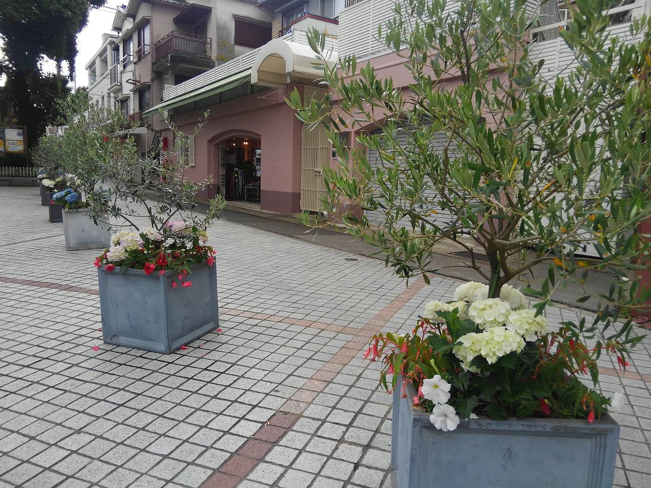 北野エリア花壇管理業務