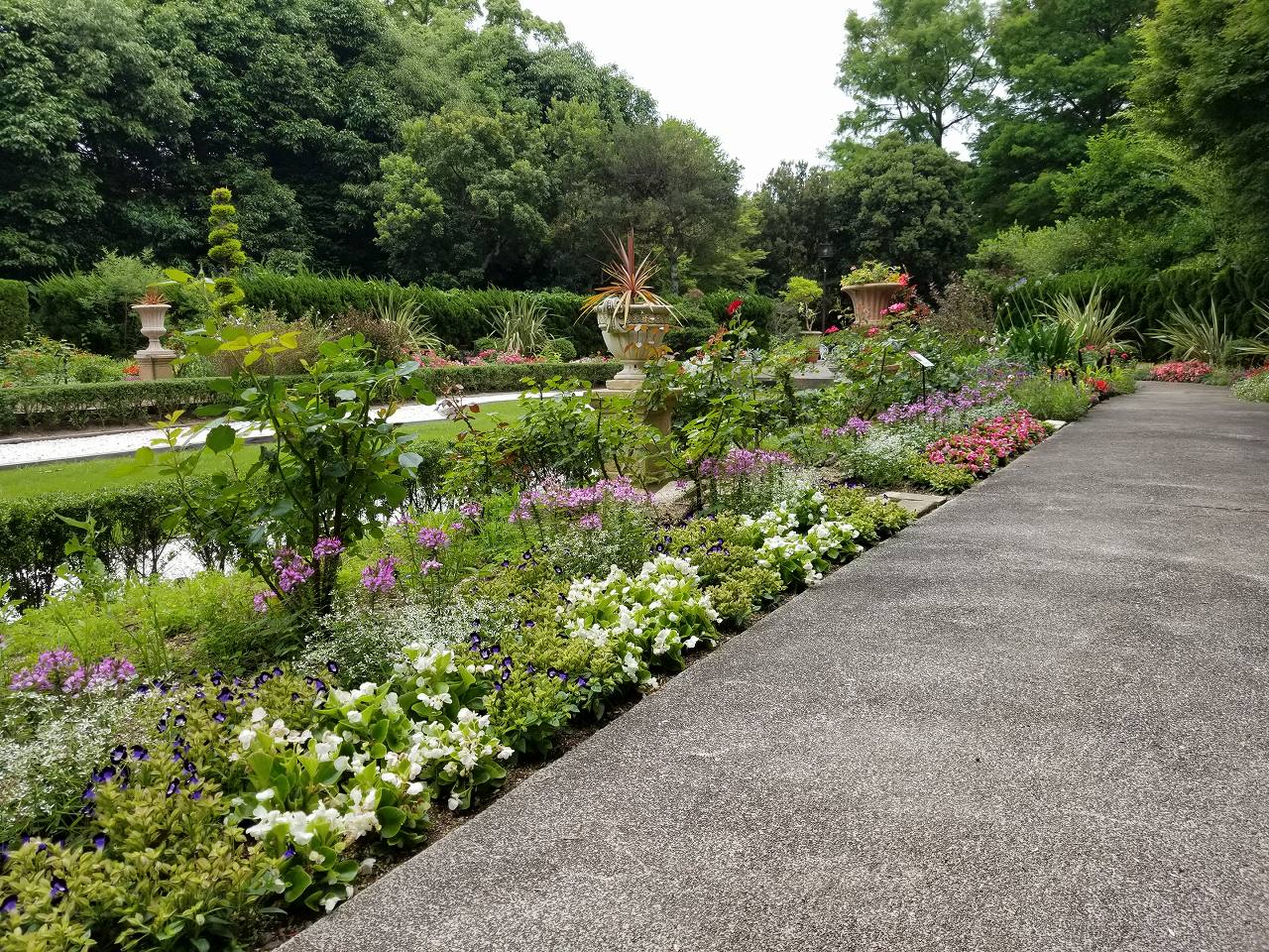 須磨離宮公園花の庭園