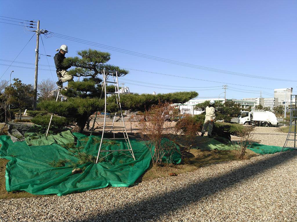 ゴルフ場の公園