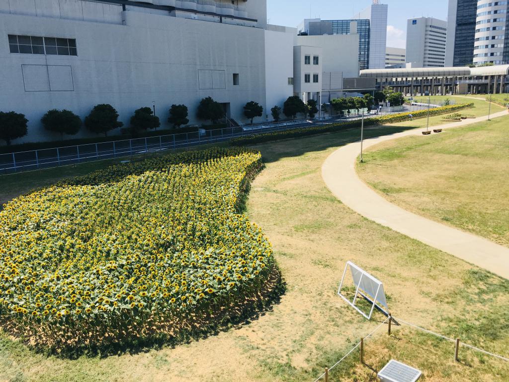 ポートアイランド 北ひまわり広場