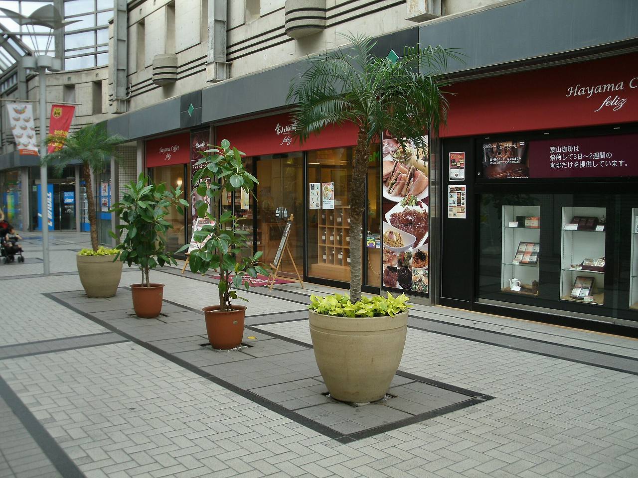 商業施設のレンタルグリーン