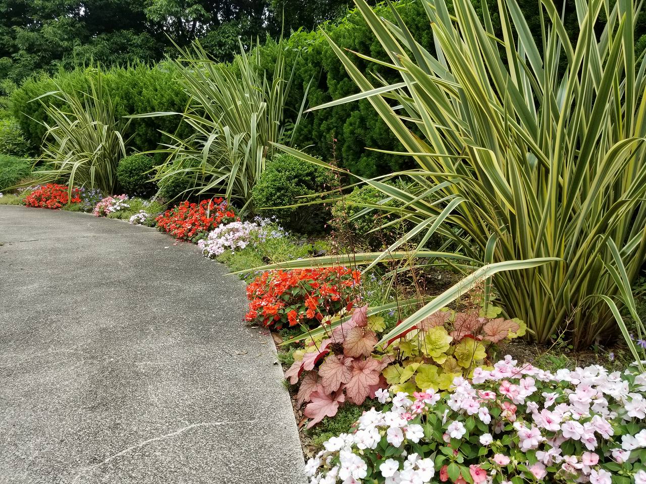 須磨離宮公園花の庭園