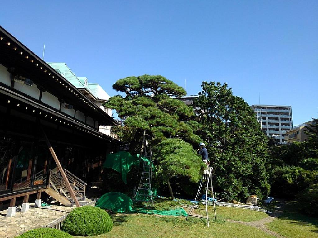 ホテルの緑地管理