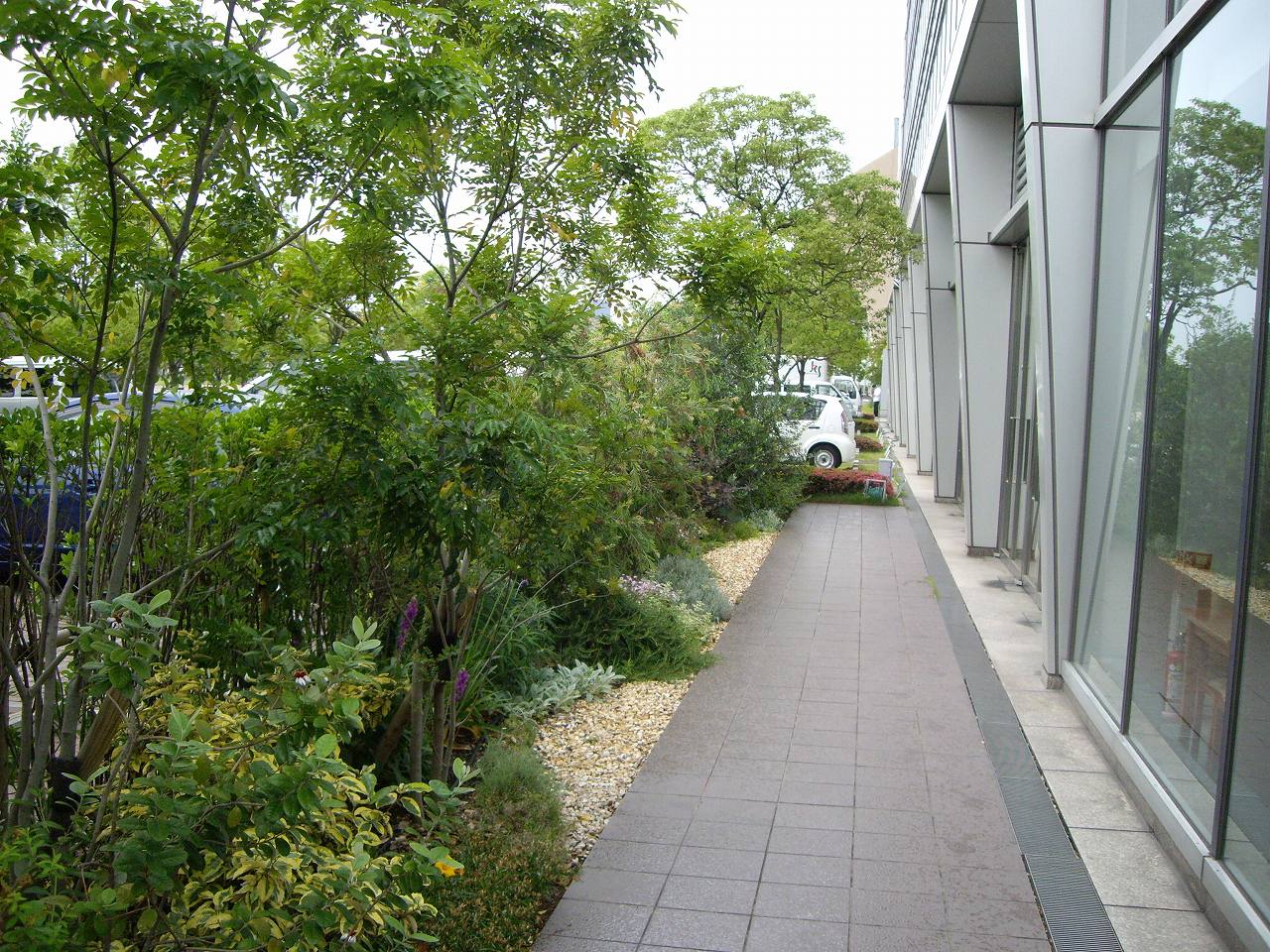 企業の庭