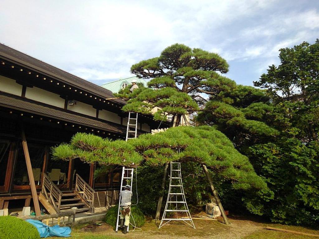 ホテルの緑地管理