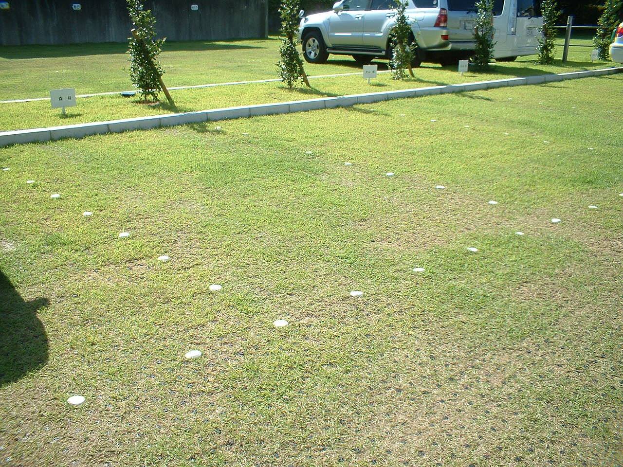 工場のグラスパーキング