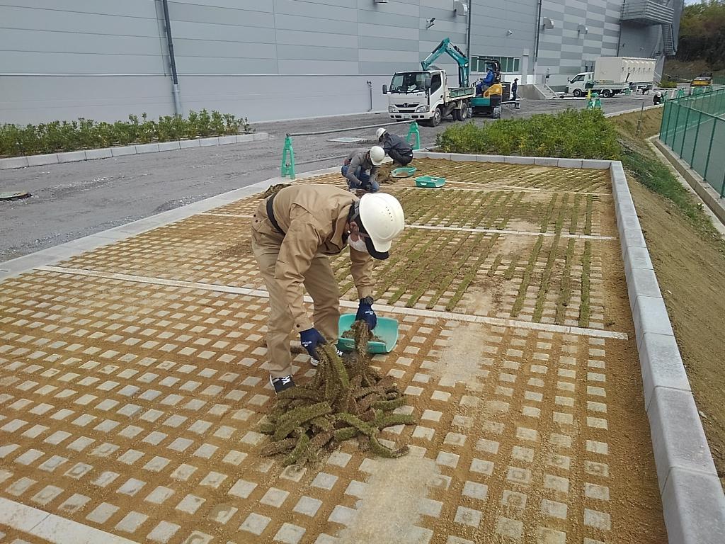 工場の駐車場緑化