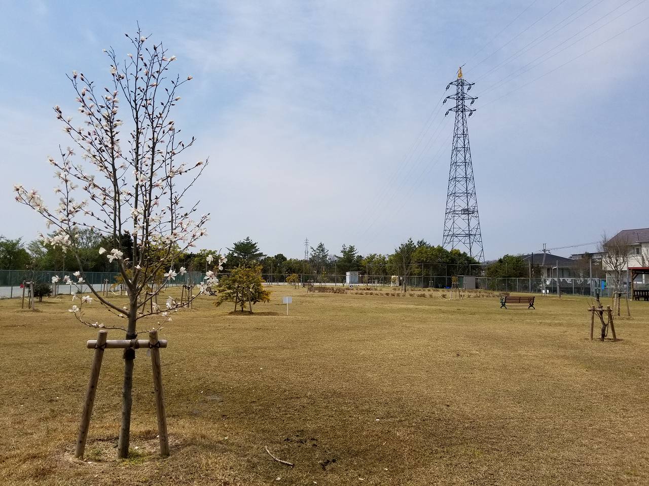 惣山暫定少年グラウンド横緑地