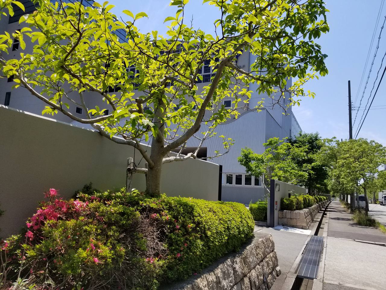 工場の緑地