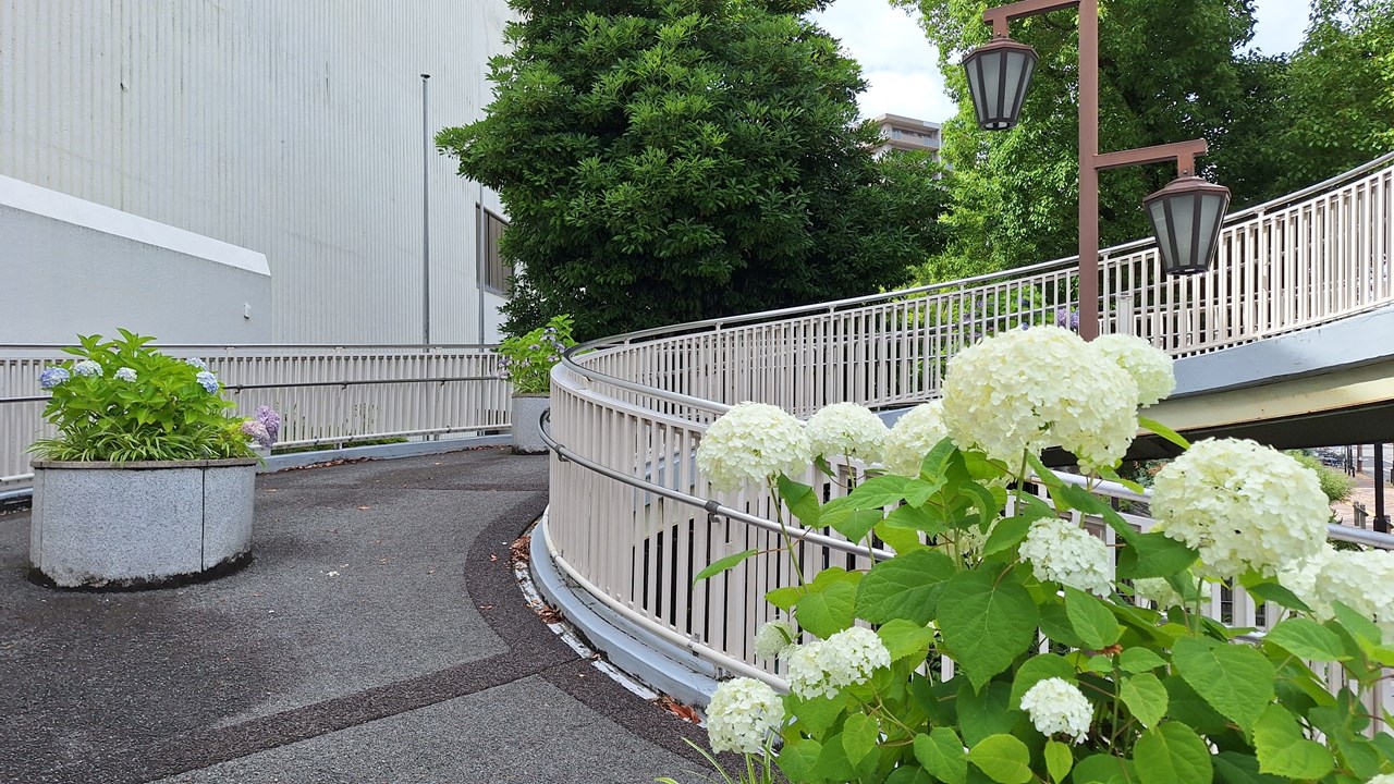 文化ホール前陸橋