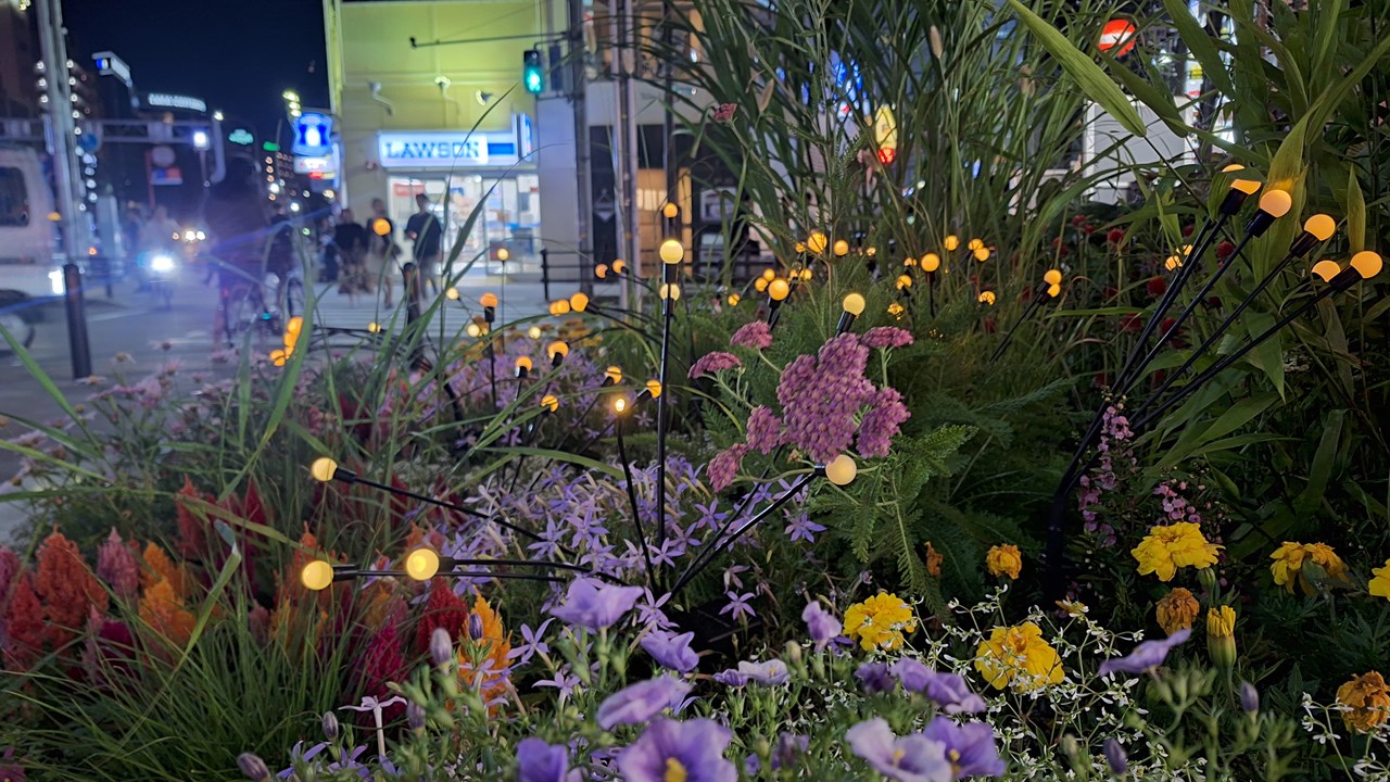 北野・旧居留地アニバーサリー夏