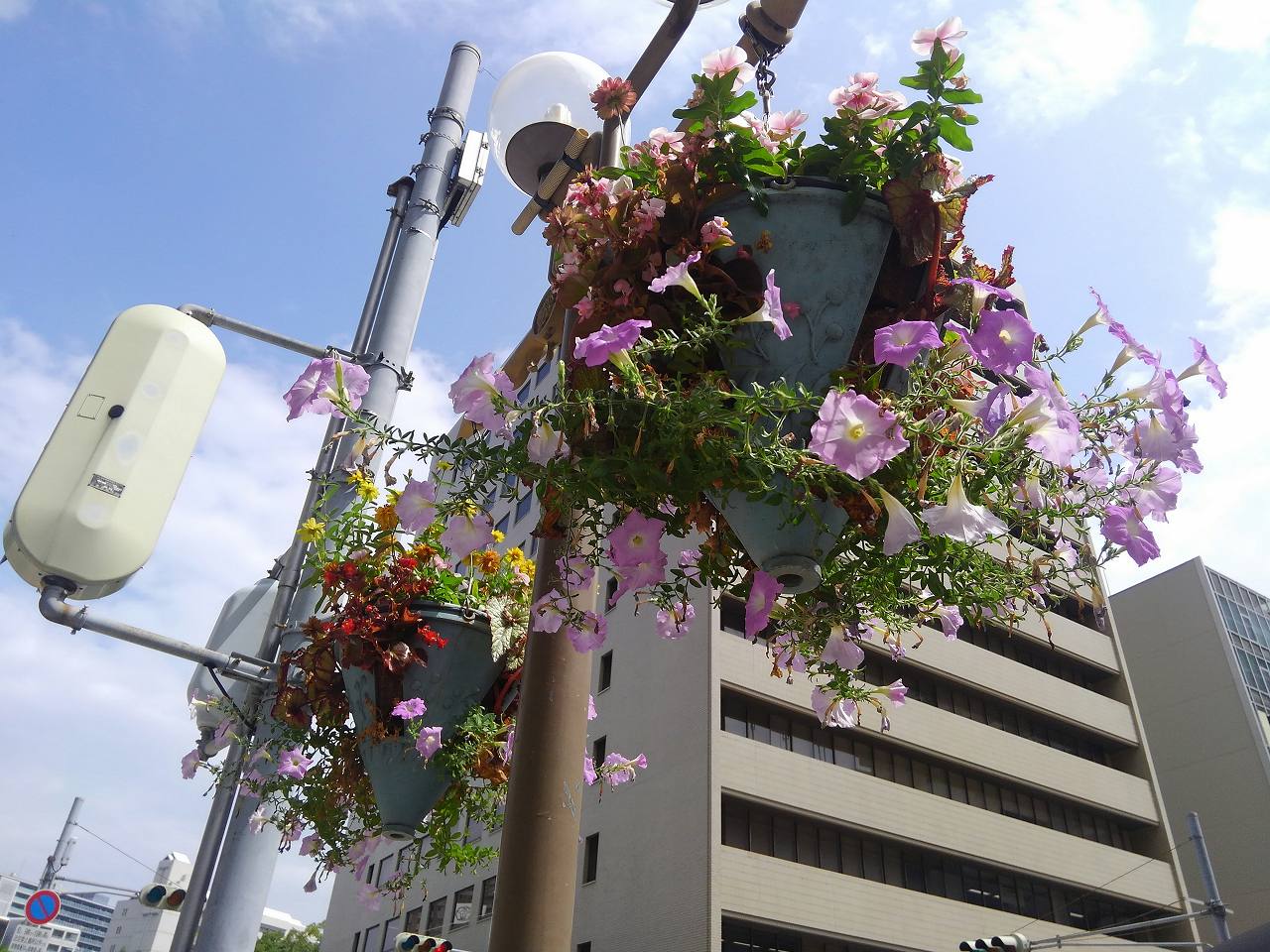 旧居留地エリア花壇管理業務