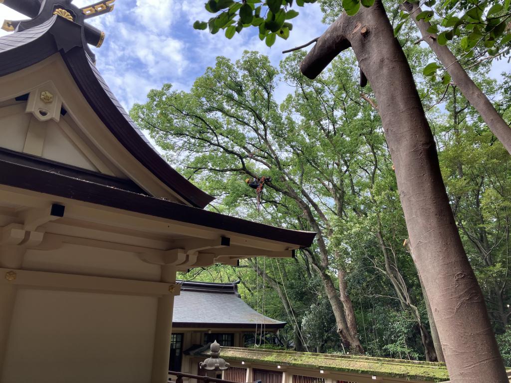 湊川神社