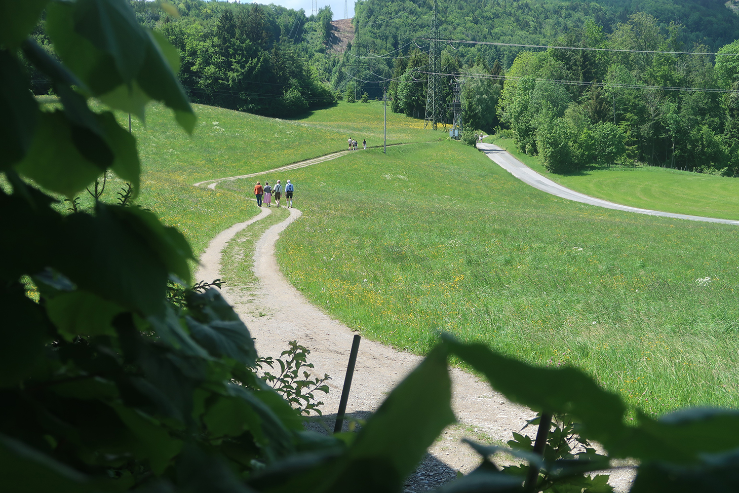 Tanzlmusitreffen