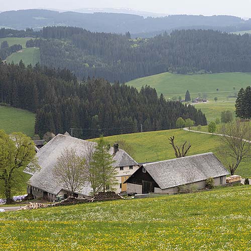 Radeln im Schwarzwald