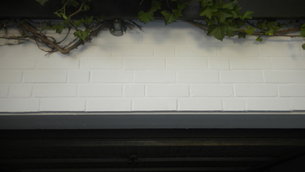 Fassadenreinigung Nachher