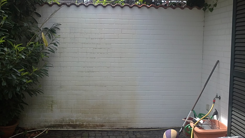 Fassadenreinigung Vorher