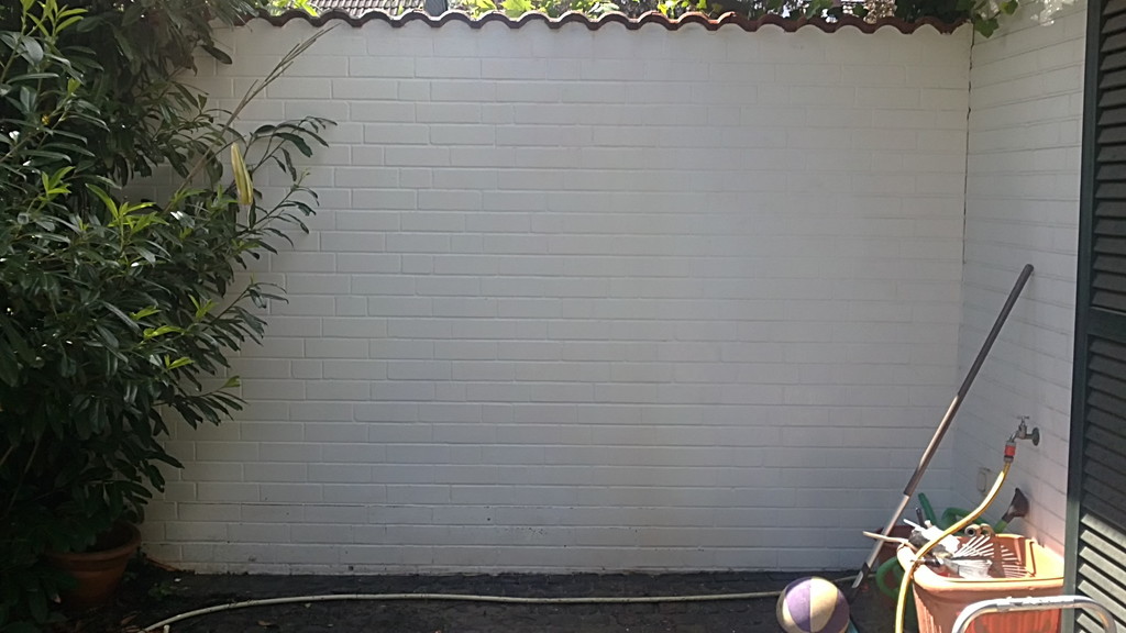 Fassadenreinigung Nachher