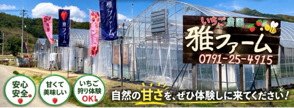 miyabifarm ページ!