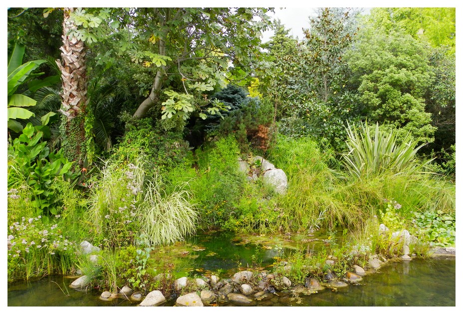 Jardin aquatique Graveson