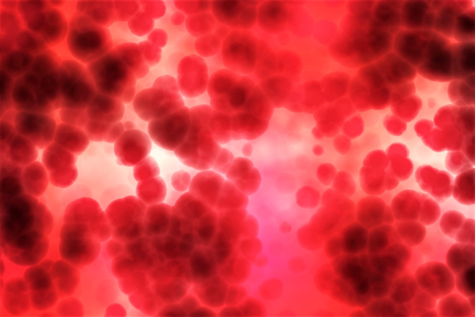 arbeitsbl-tter-das-blut-das-blut-ch-website
