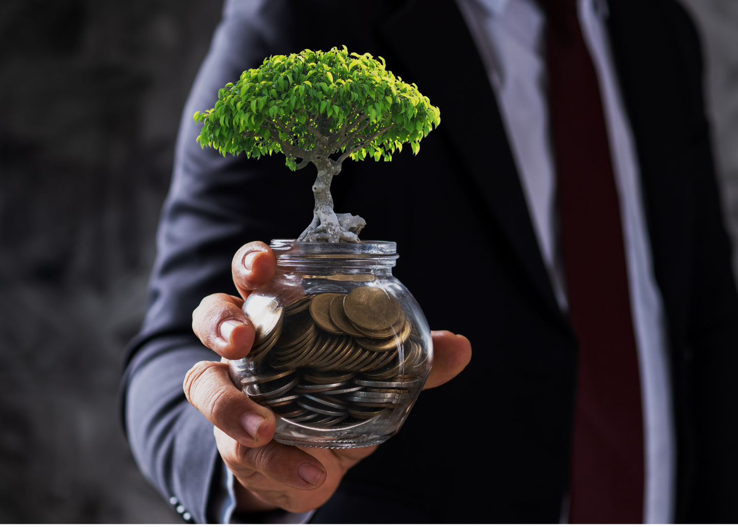 Litwoo – Your Opportunity to Shape the Future of the Job Market