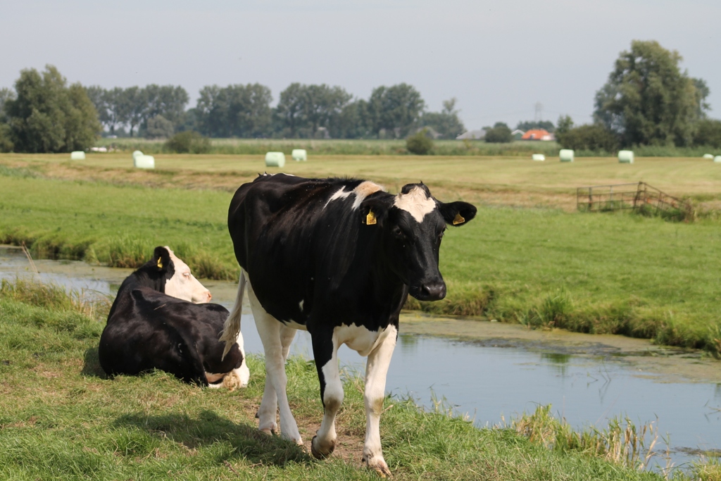 Fotograaf: Arjan Schuurman