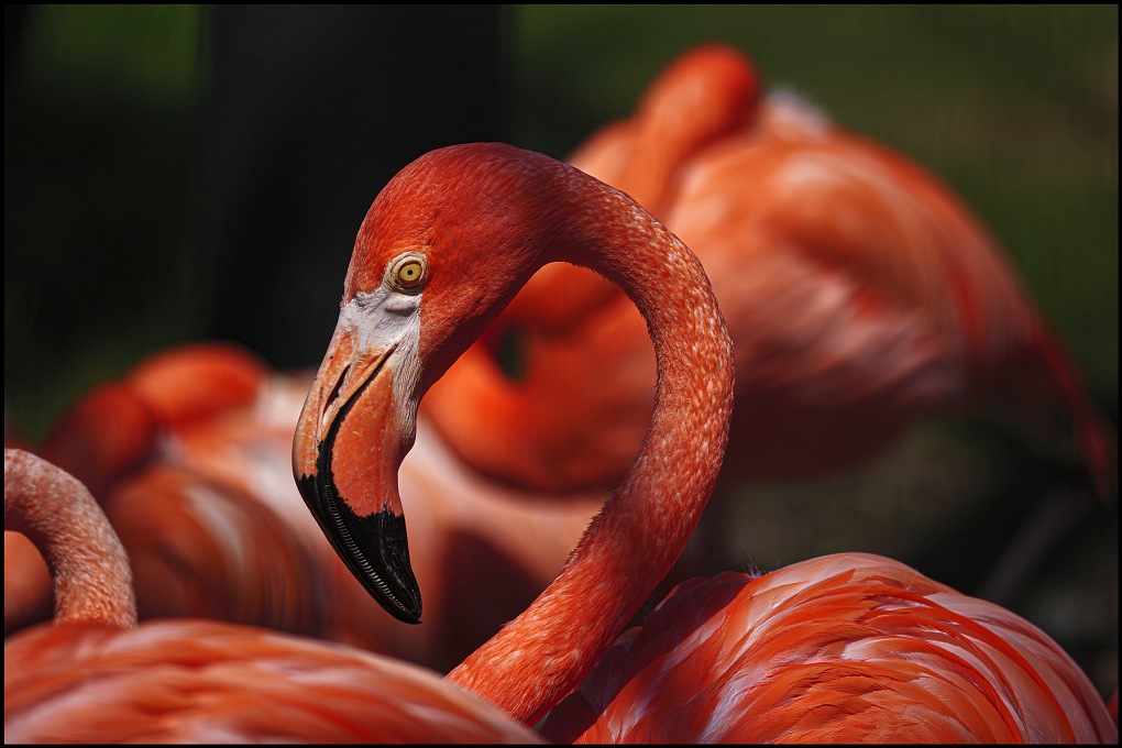 Fotograaf André van Sloten