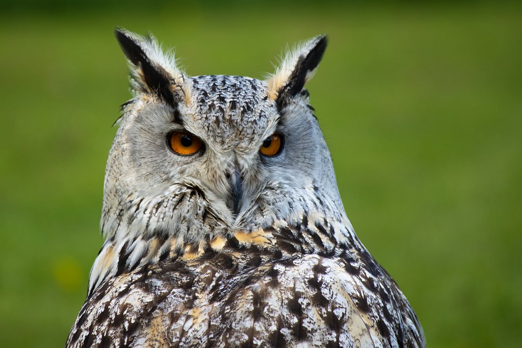 Fotograaf Arjan Schuurman