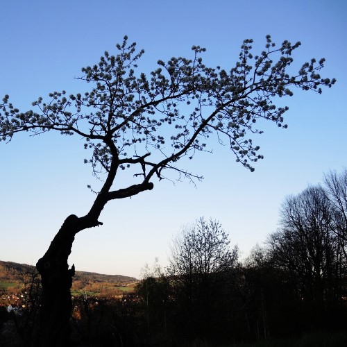 Bautzen singletreff