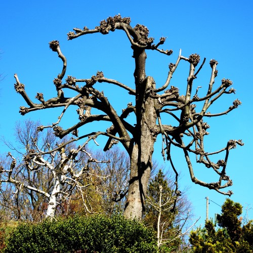 Bautzen singletreff