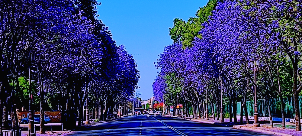 Sevilla...main Street
