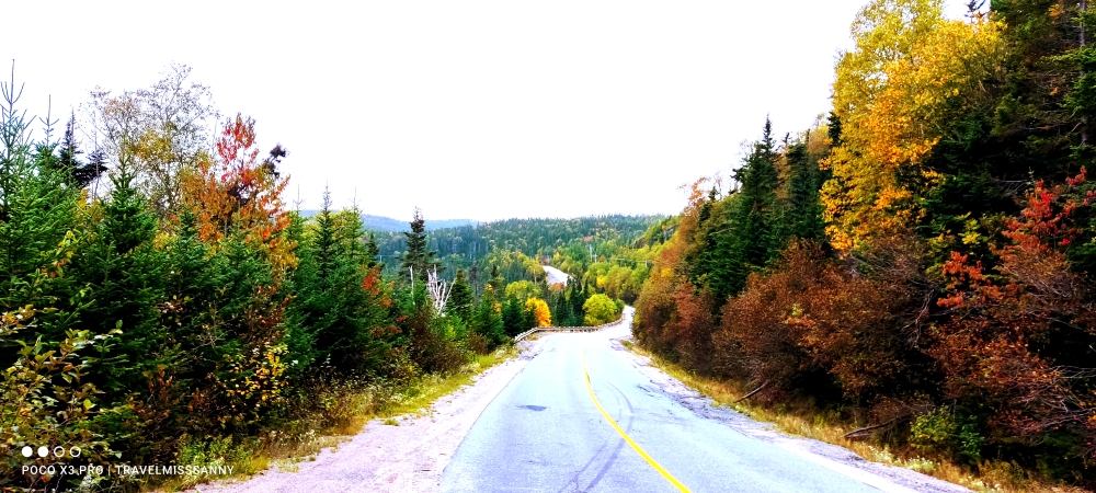 Indian Summer on the road