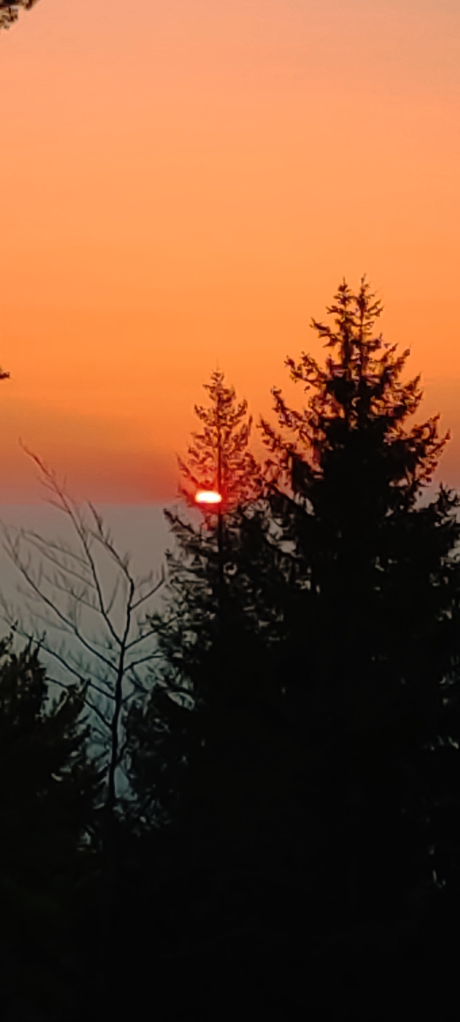 Sunset im Scharzwald
