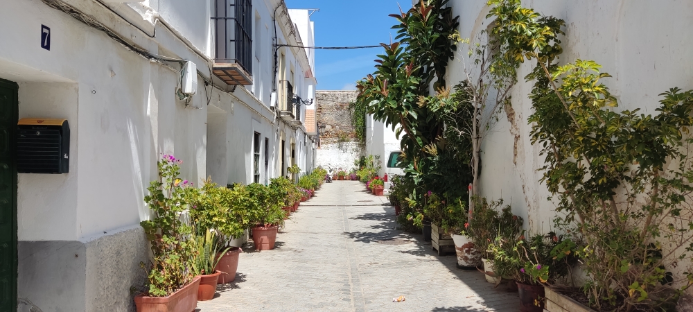 Tarifa